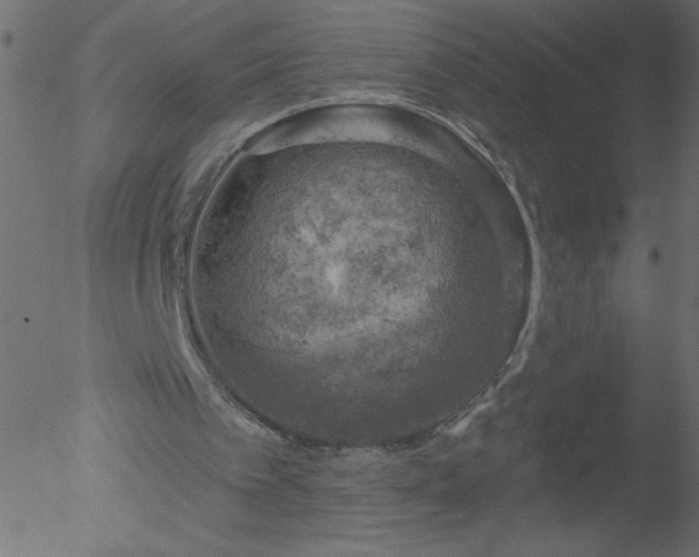 X0000052570097200507011231