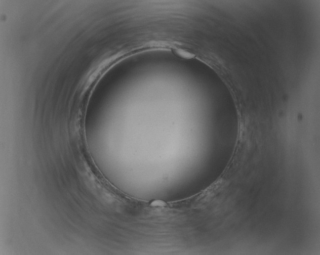 X0000052570098200507011231