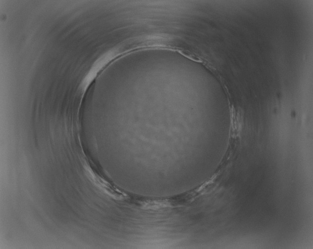 X0000052570099200507011231