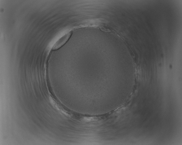 X0000052570100200507011231