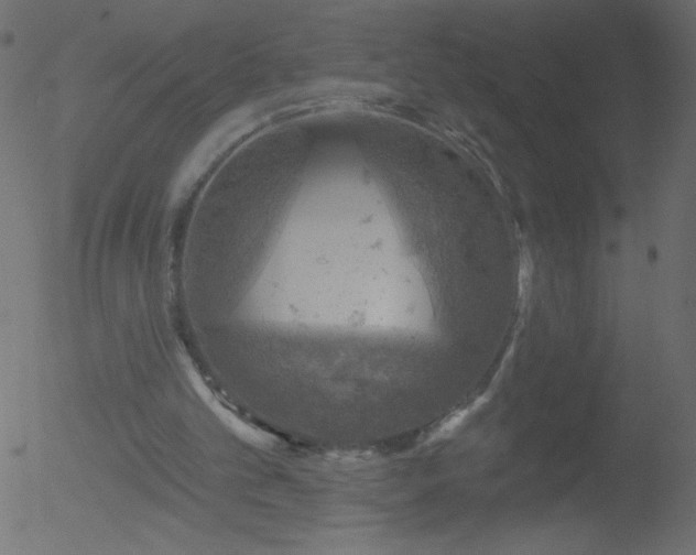 X0000052570101200507011231