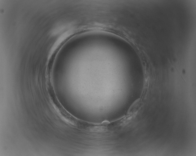 X0000052570102200507011231