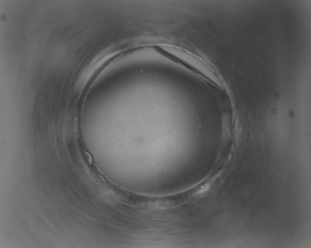 X0000052570103200507011231