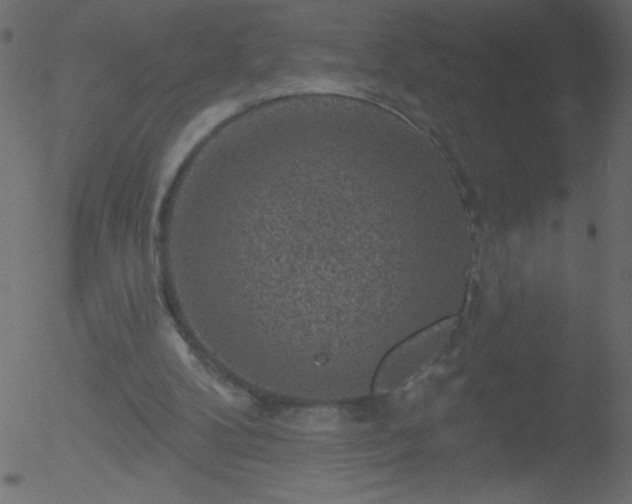 X0000052570104200507011231