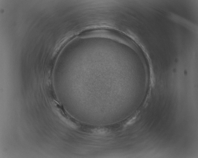 X0000052570105200507011231