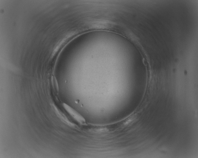 X0000052570106200507011231