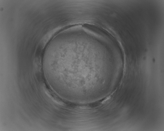 X0000052570107200507011231