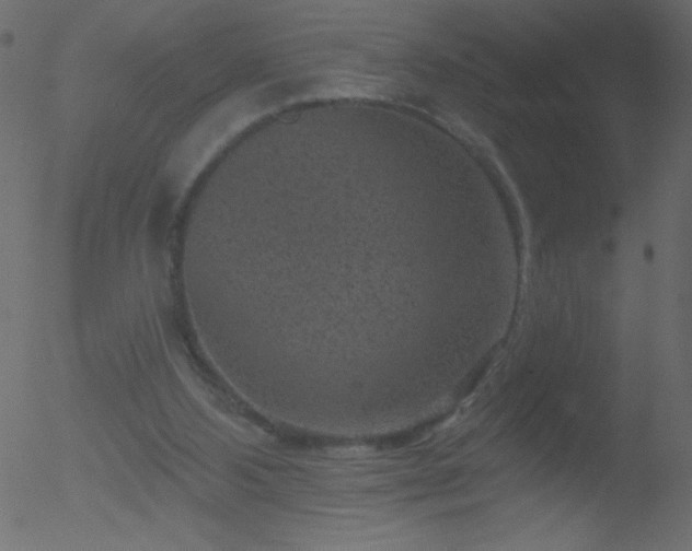 X0000052570108200507011231