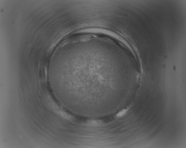 X0000052570109200507011231