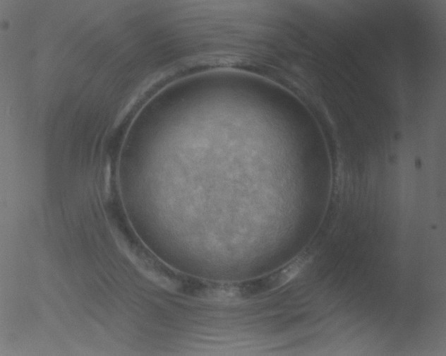 X0000052570110200507011231