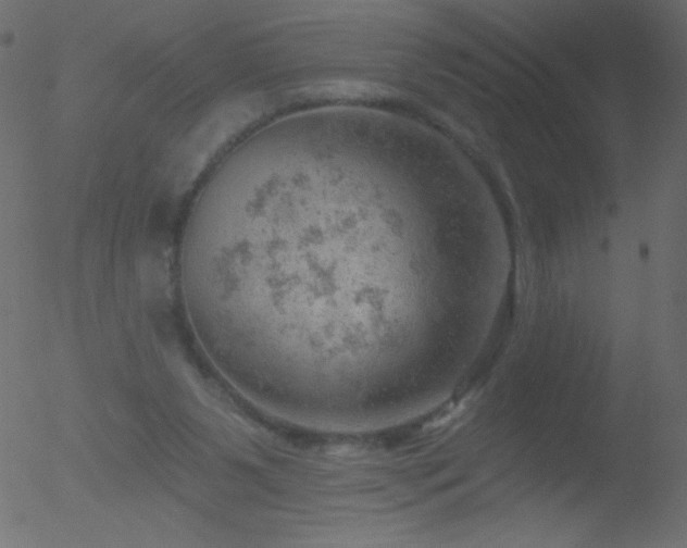 X0000052570111200507011231