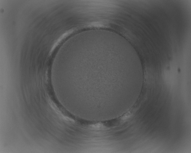 X0000052570112200507011231