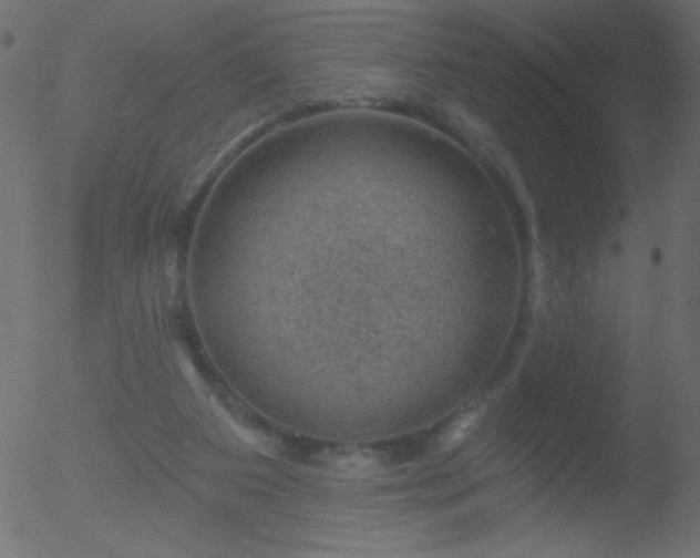 X0000052570113200507011231