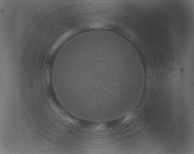 X0000052570116200507011230