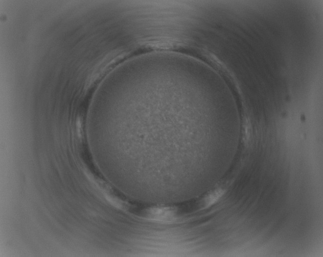 X0000052570117200507011230