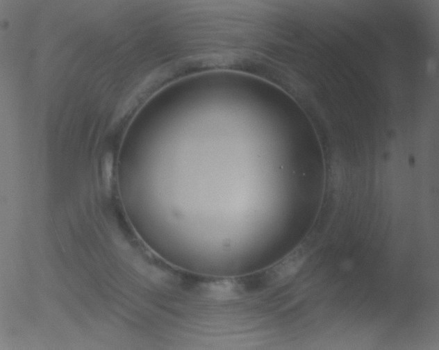 X0000052570118200507011230