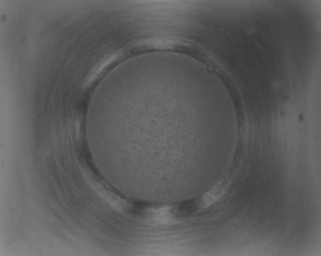 X0000052570120200507011230