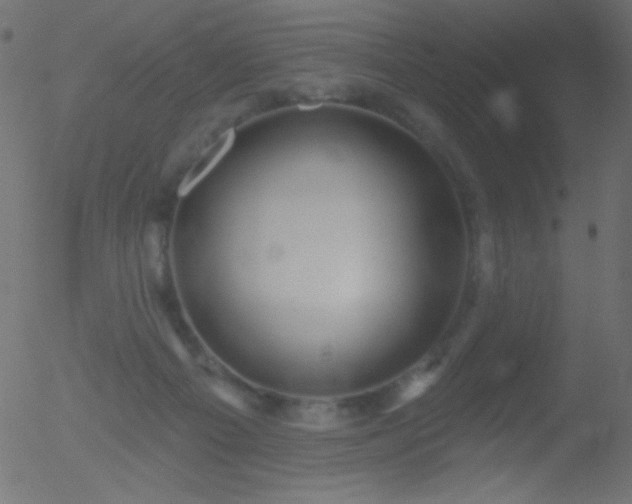 X0000052570121200507011230