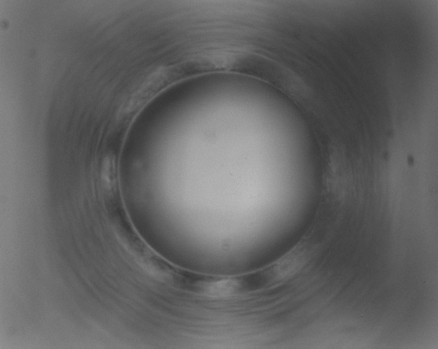 X0000052570122200507011230