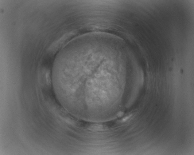 X0000052570123200507011230