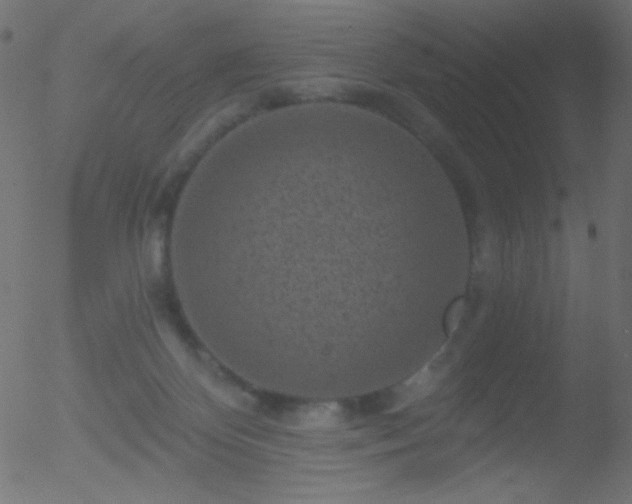 X0000052570124200507011230