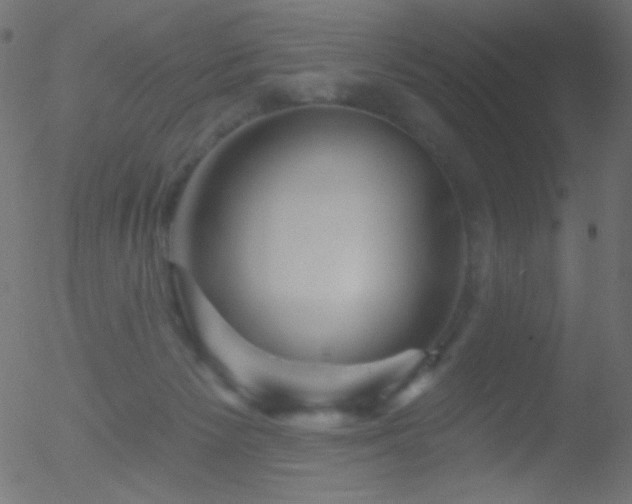 X0000052570125200507011230