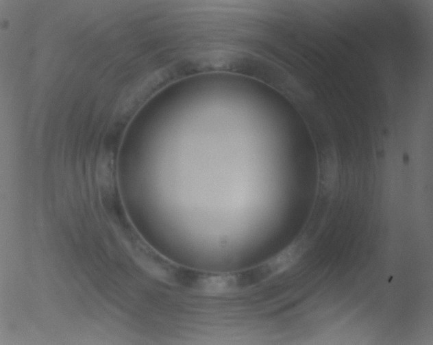 X0000052570126200507011230