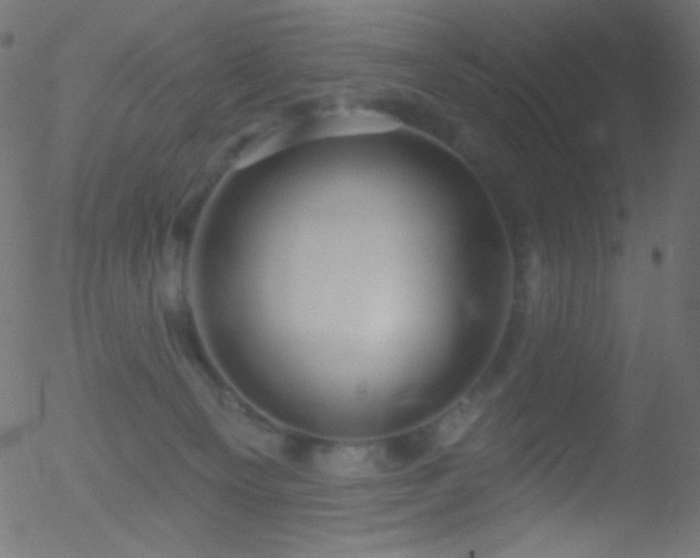 X0000052570129200507011230