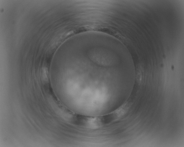 X0000052570130200507011230