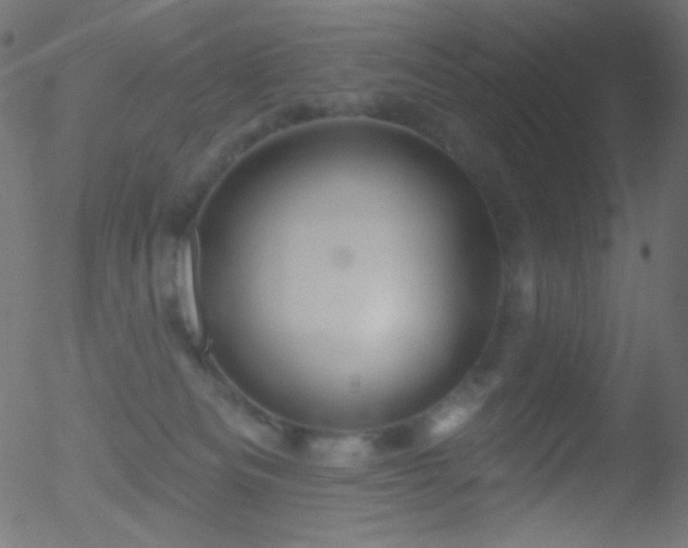 X0000052570133200507011230