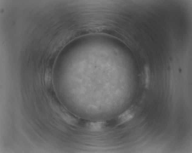 X0000052570134200507011230