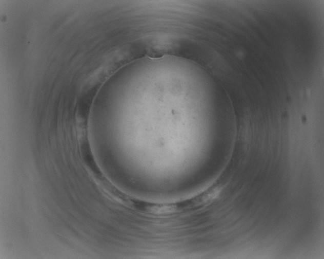 X0000052570135200507011230