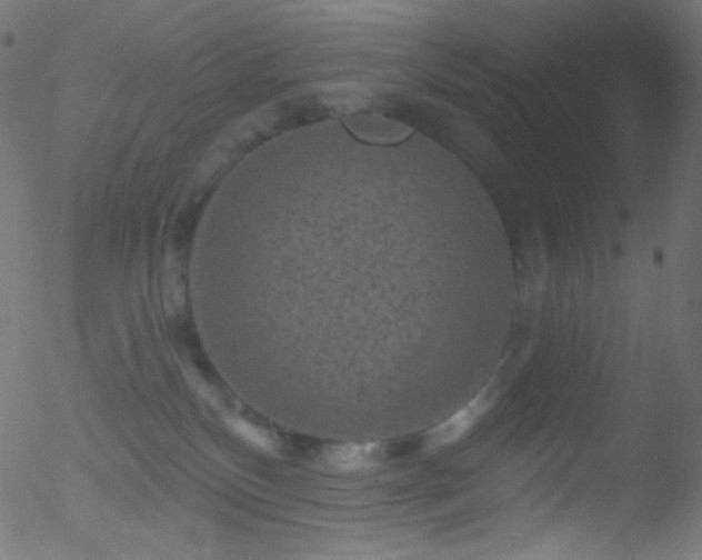 X0000052570136200507011230