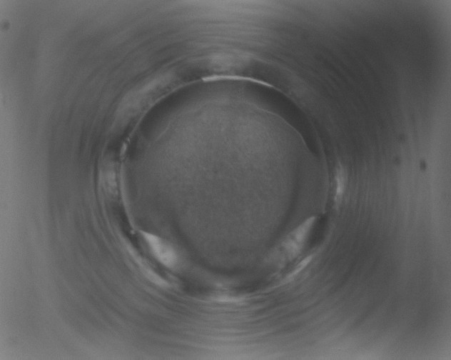 X0000052570137200507011230