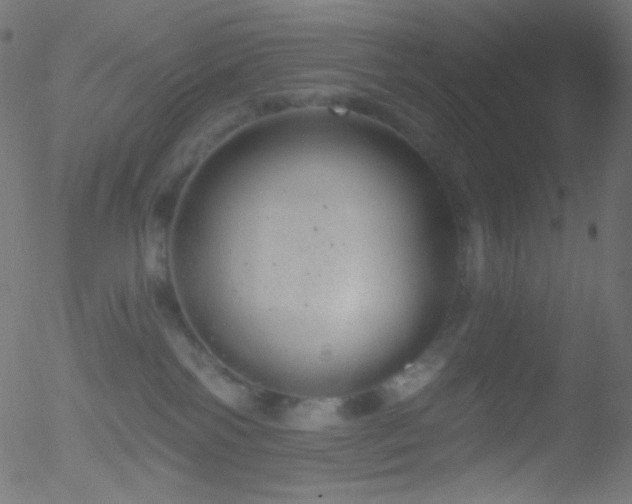 X0000052570138200507011230