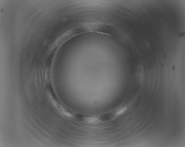 X0000052570139200507011230