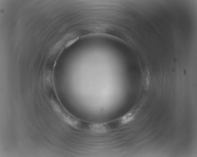 X0000052570141200507011230