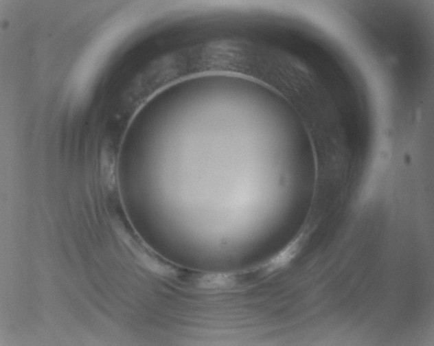 X0000052570142200507011230