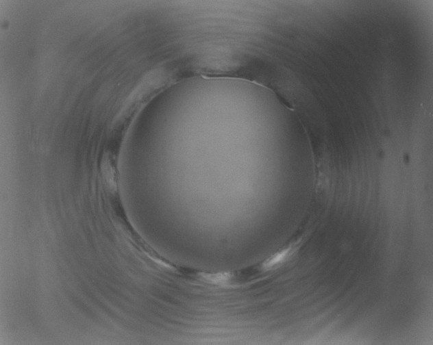 X0000052570143200507011230