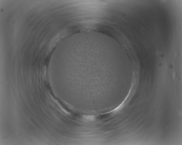 X0000052570144200507011230