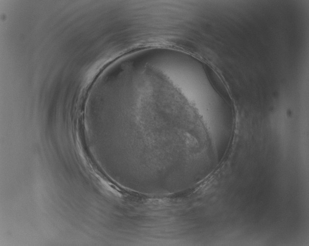 X0000052570145200507011229