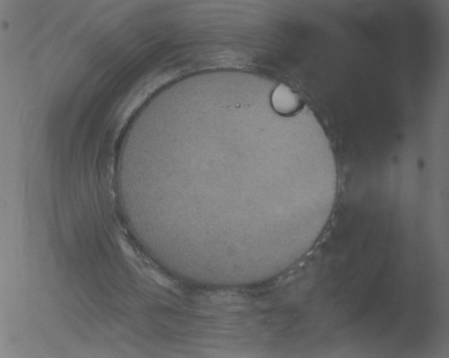 X0000052570146200507011229