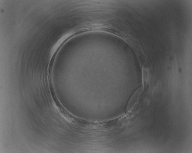 X0000052570147200507011229