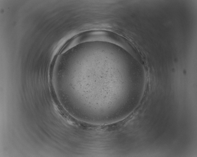 X0000052570148200507011229