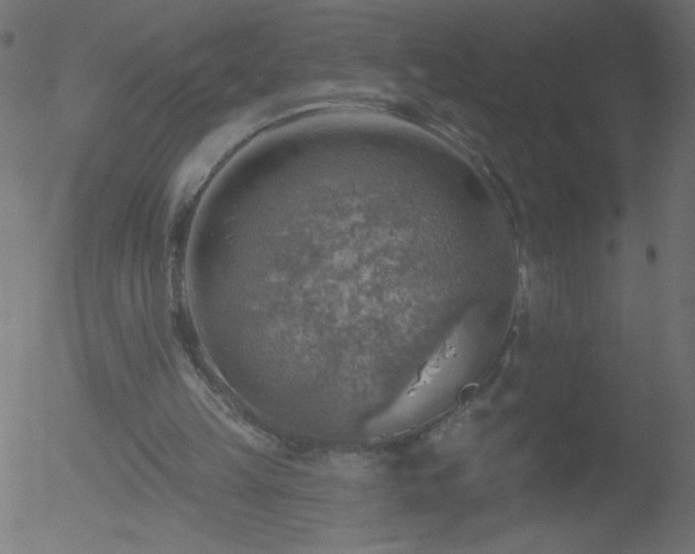 X0000052570149200507011229