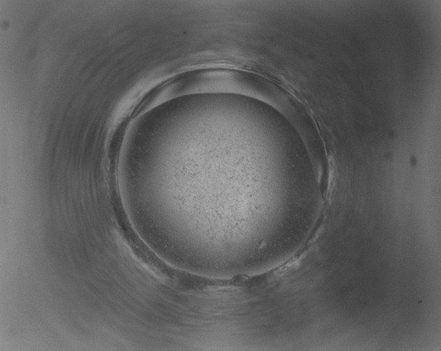 X0000052570150200507011229