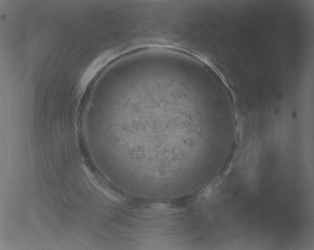 X0000052570151200507011229