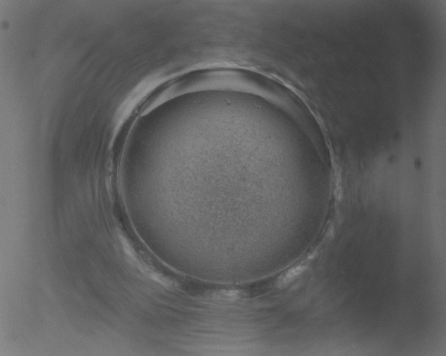 X0000052570152200507011229