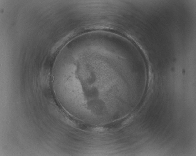 X0000052570153200507011229