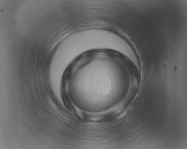 X0000052570154200507011229